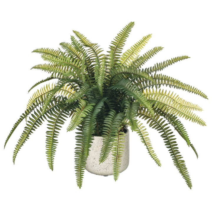 Sullivans Home Decor - Wholesale Artificial Plant - Potted Fern