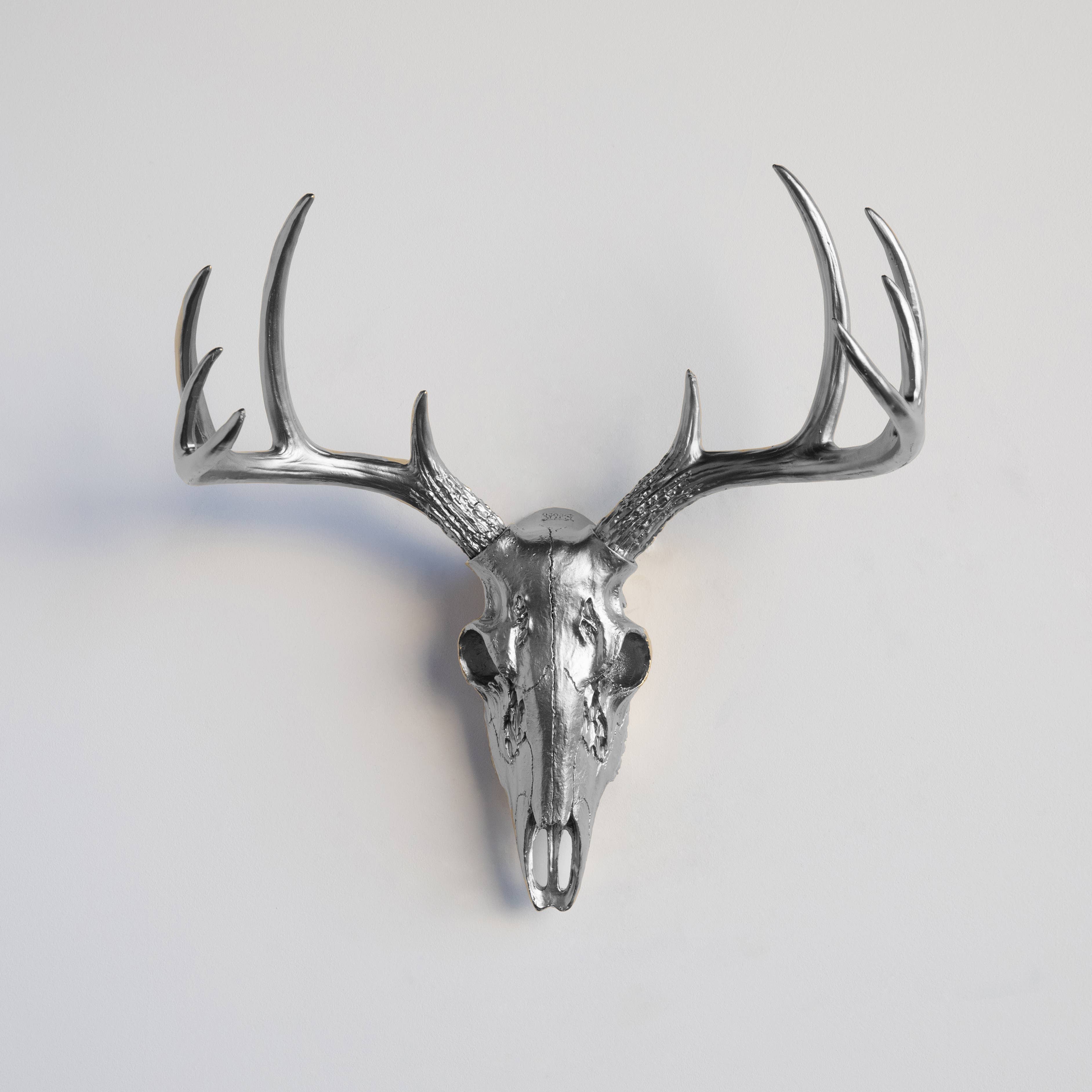 Near and Deer - Wholesale Dimensionele/3D-muurkunst - Faux Mini Buck Skull muursteun6
