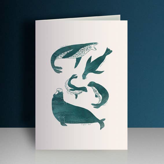 Seal Species Greeting Card for wholesale by The Single Fin Collective