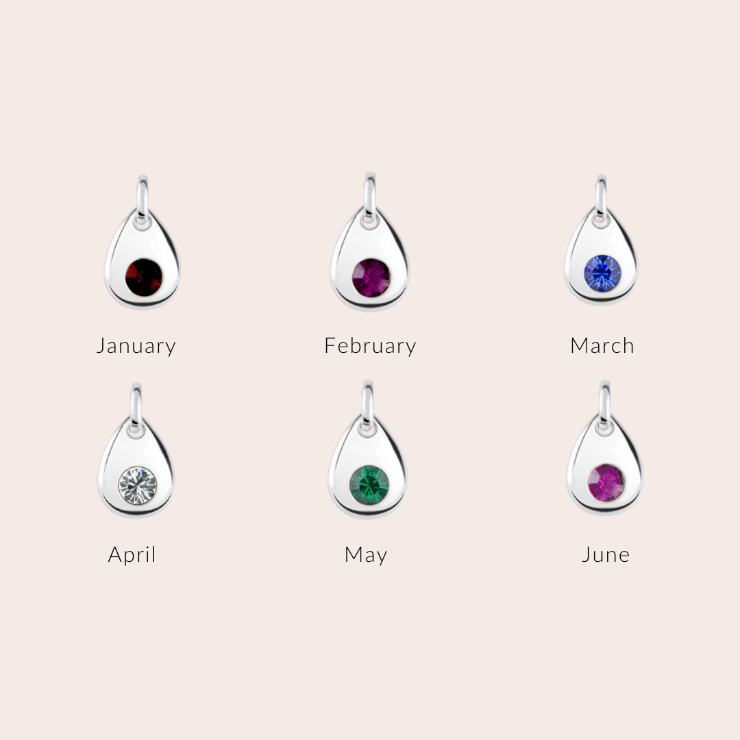 Skylos Collective - Wholesale Pet Collar Charm - Cat/Dog - Sterling silver birthstone collar charm17