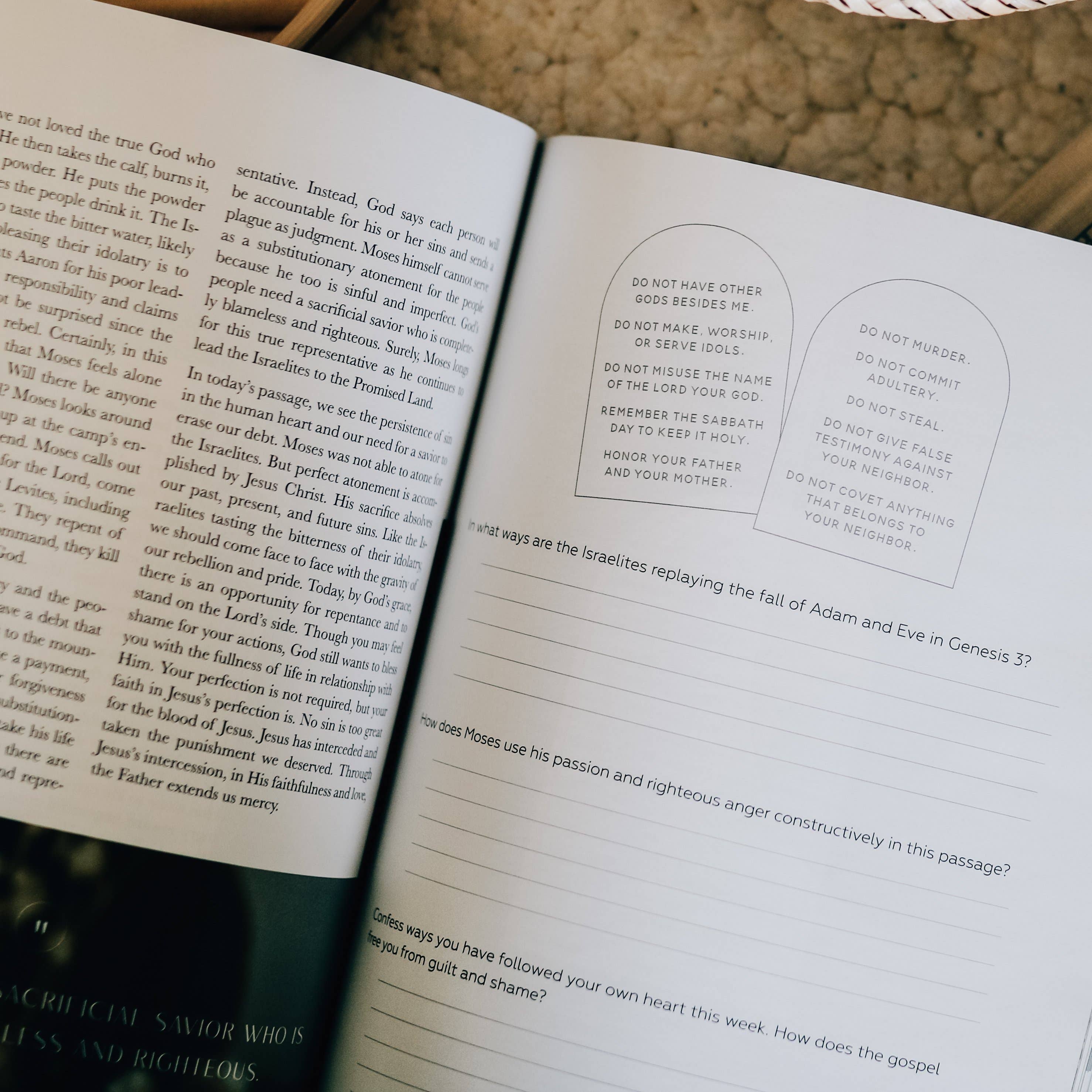 The Daily Grace Co - Wholesale Religion - Journey to Freedom | The Life of Moses13