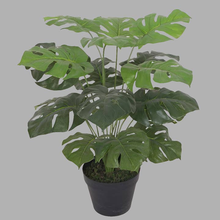 ZenZies - Wholesale Artificial Plant - Monstera Artificial Plant - Swiss Cheese Plant 60cm4