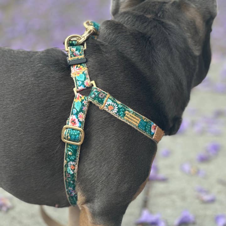 3/4" Secret Garden Harness for wholesale by Finnegan’s Standard Goods