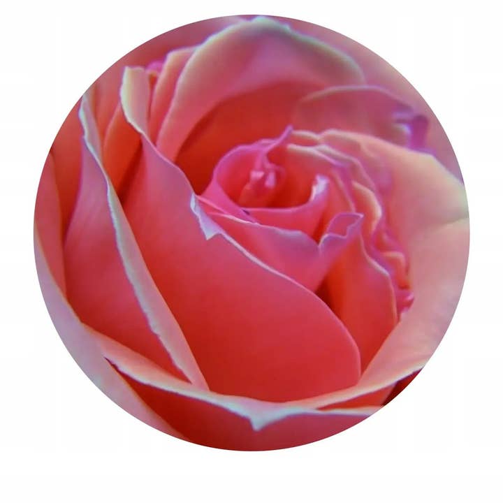 Royal Brand - Wholesale Flavored/Infused Water (Non-Carbonated) - Woda Różana Spożywcza DO PIECZENIA z Kwiatów Róży Z ZAKRĘTKĄ 100% NATURALNA 100ml1