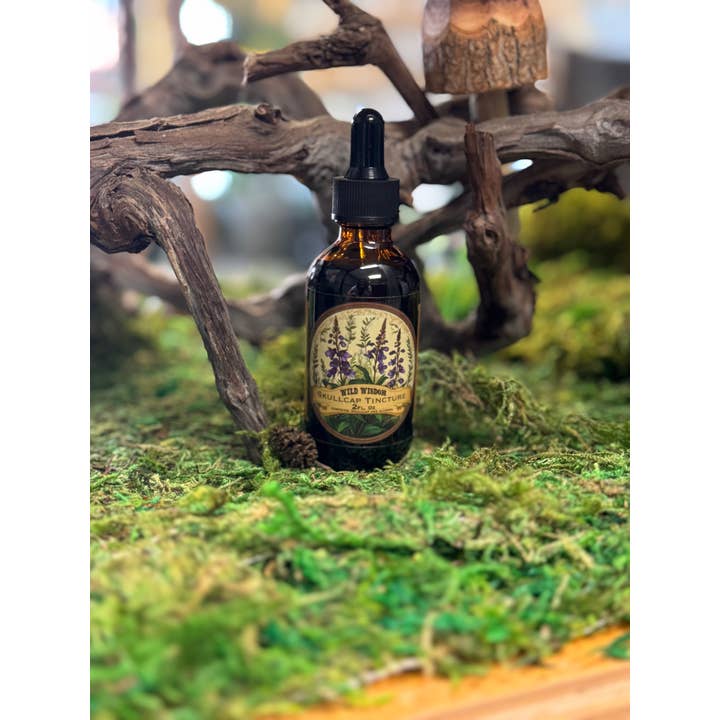 Wild Wisdom LLC - Wholesale Tincture - Skullcap Tincture1