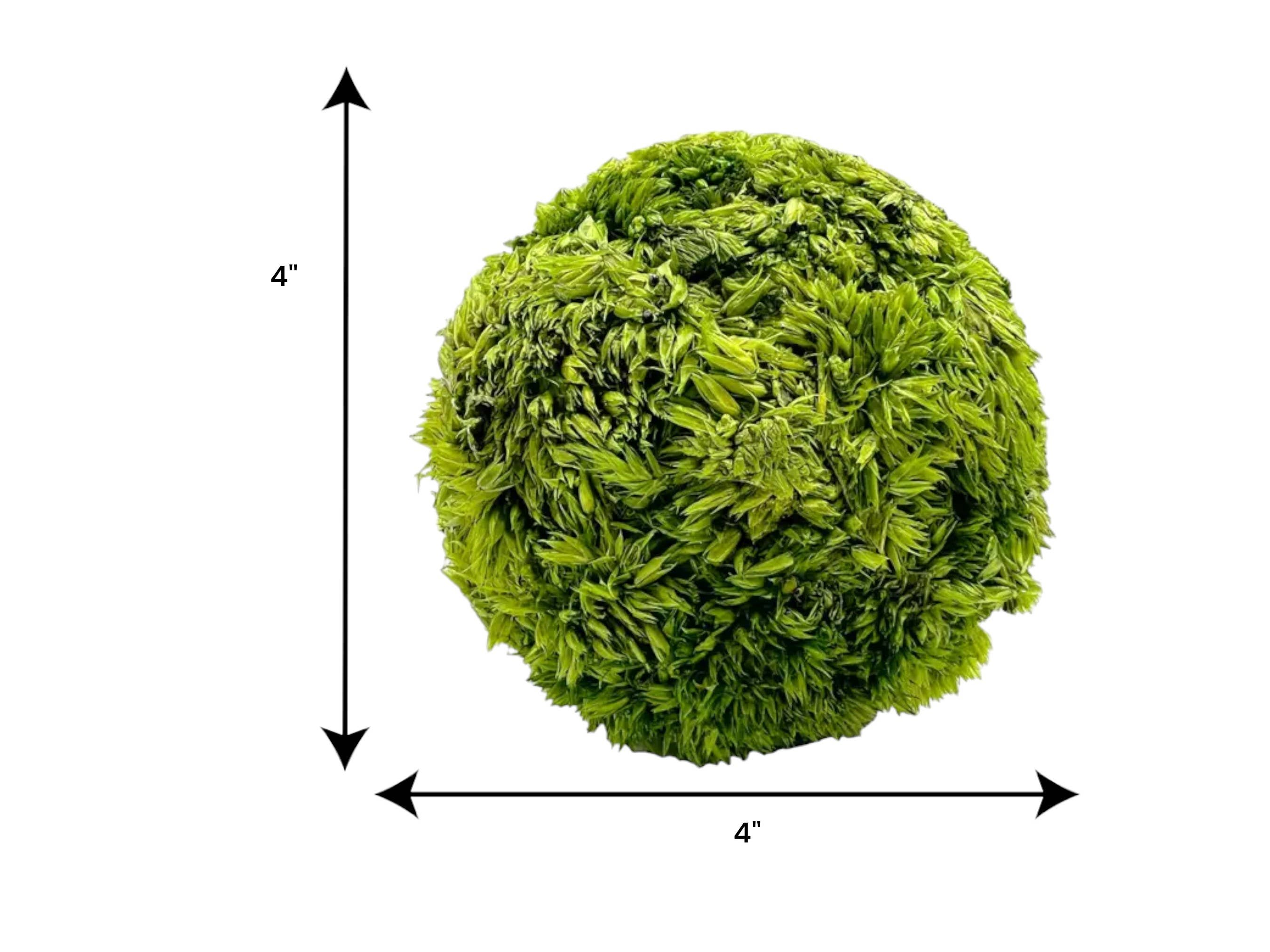 2626 Designs – wholesale Artificial plant – Box of 3 Preserved Cockscomb Topiary Balls Bowl Filler4