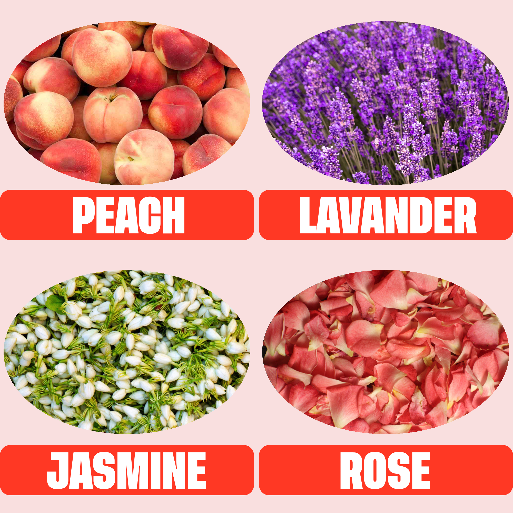 Aperitivo Club - Venta al por mayor Preparado/sirope para cóctel - PEACH BELLINI | Cóctel italiano spritz listo para beber | 6 % vol3