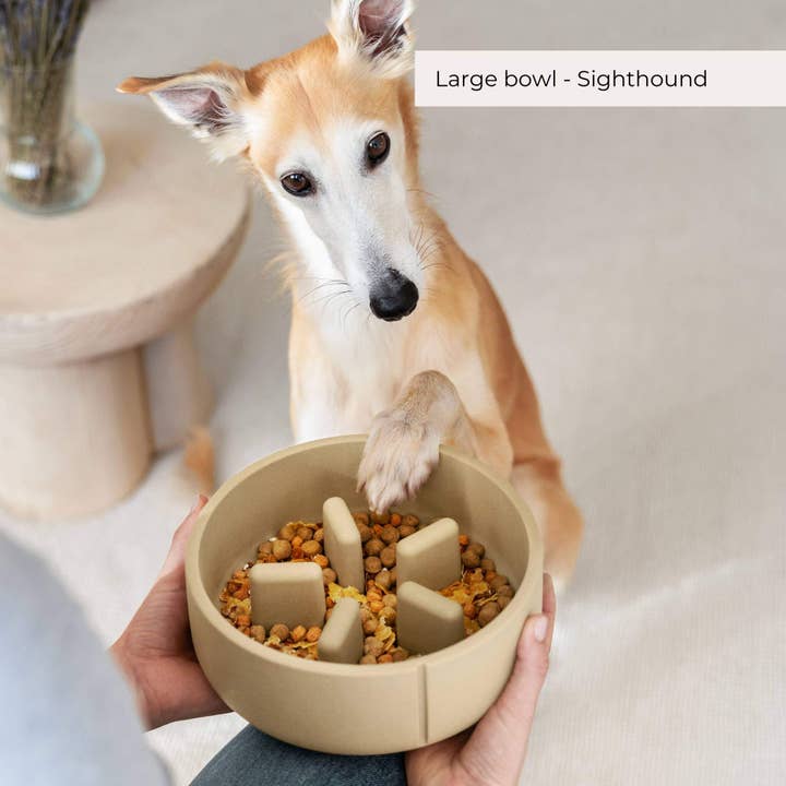 PINO – Großhandel Futternapf – Hund – Langsamfutterschalen - Kollektion 20249