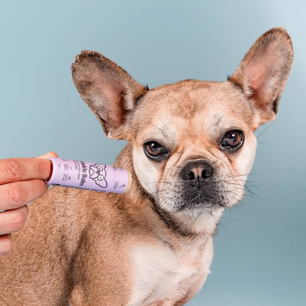 Butchcare - Wholesale Pet Balm - Dog - Wrinkle balm stick1