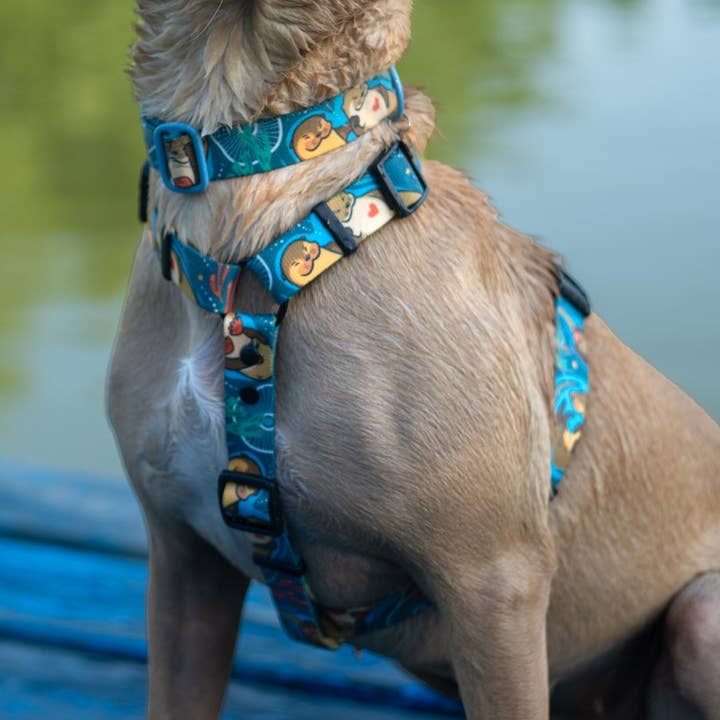 Hello From The Otter Side ARNESS por atacado de Mind the Fluff