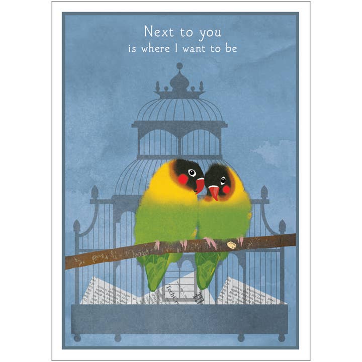 Studio Eleven Papers - Wholesale Anniversary Card - Love Birds Anniversary Card