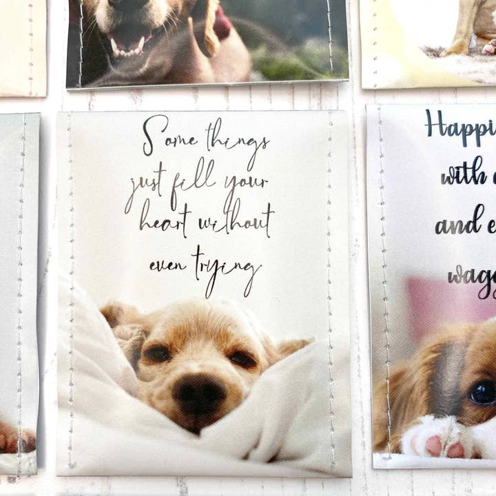 Victoria Mae Designs – Großhandel Teebeutel – Hundefreunde Tee-Geschenkset14