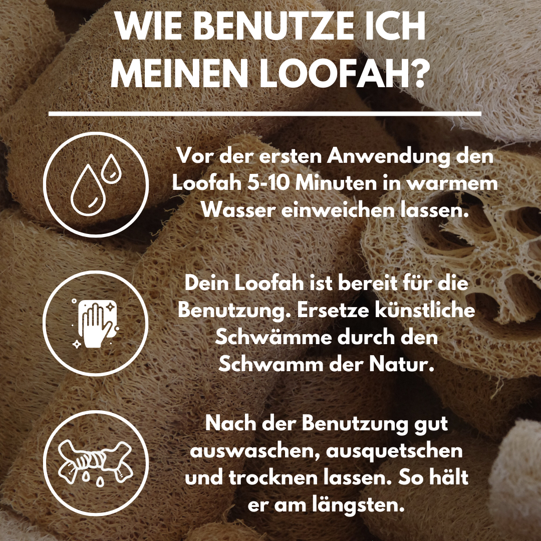 Loofahcrafts - Wholesale Loofah - EcoClean - The Loofah for the Kitchen - Luffa5