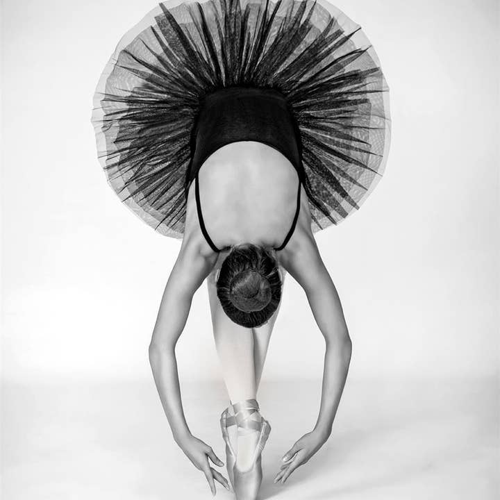 Balett Teknik WDC13399 för wholesale av The Art Group