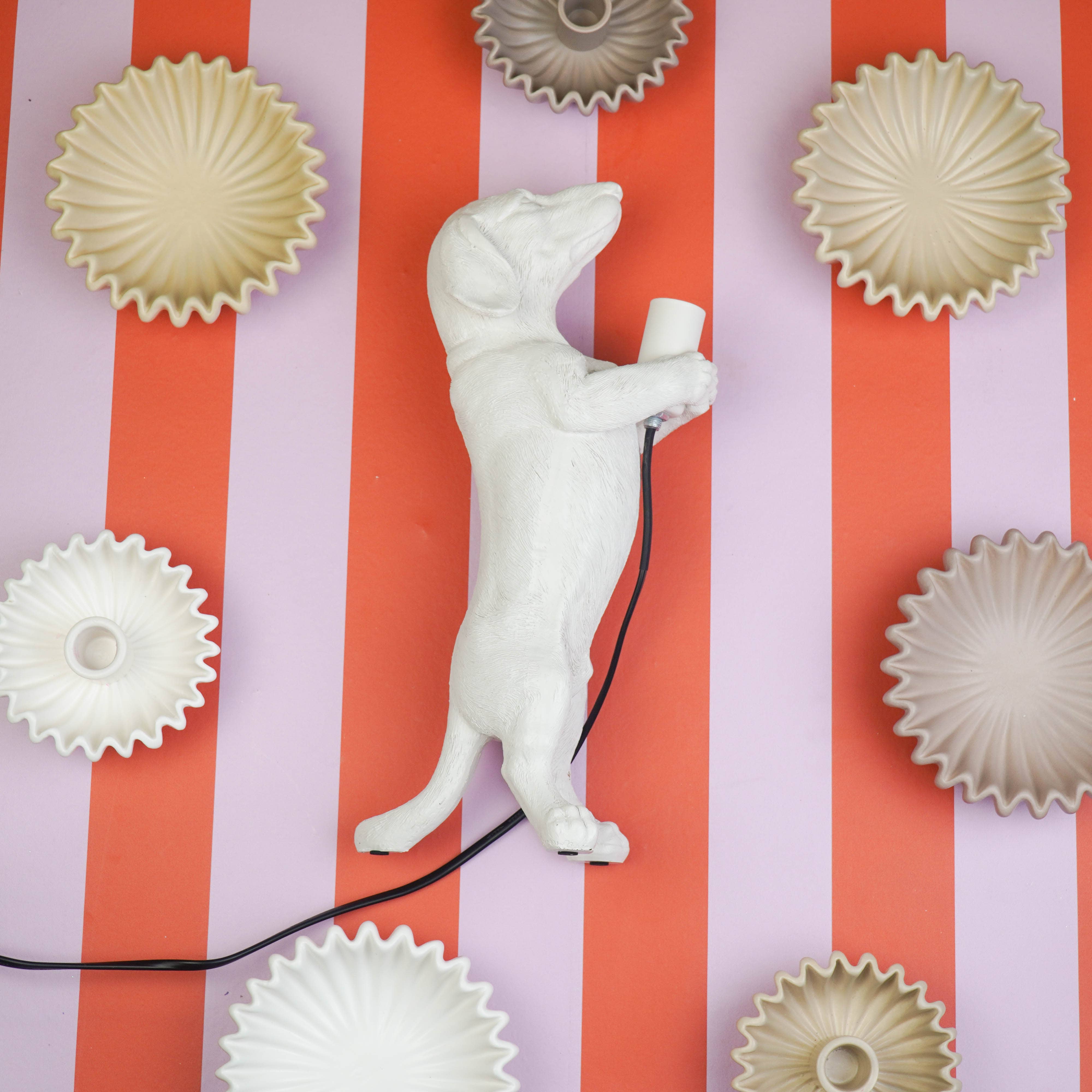 Housevitamin bv - Wholesale Figurine Lamp - Table Lamp - Dachshund Lamp - Polyresin - Cream White - E14 - 10x15x38cm3