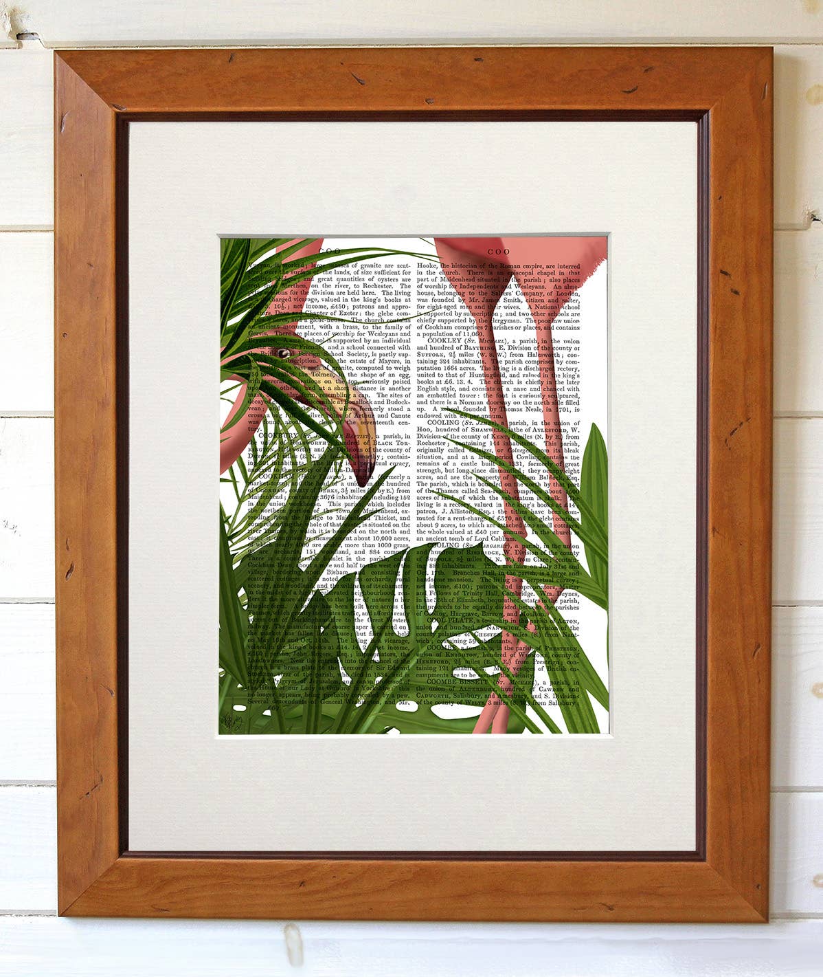 FabFunky Ltd - Wholesale Art Print - Flamingo Peering, Tropical Book Print / Art Print / Wall Art2