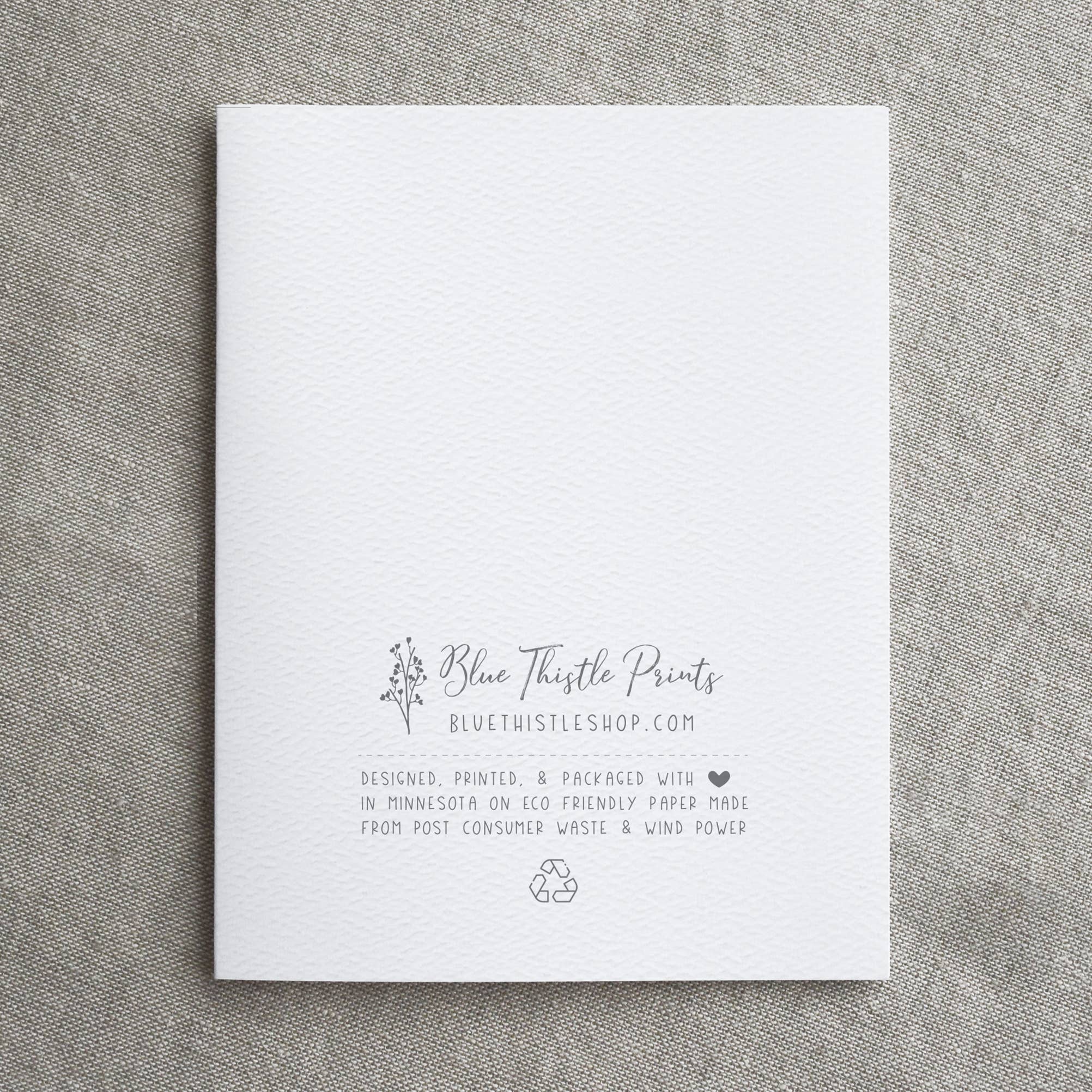 Blue Thistle - Wholesale Season's Greetings Card - Boxed Set of 6 or 12 Holiday Greeting Cards, Blank3