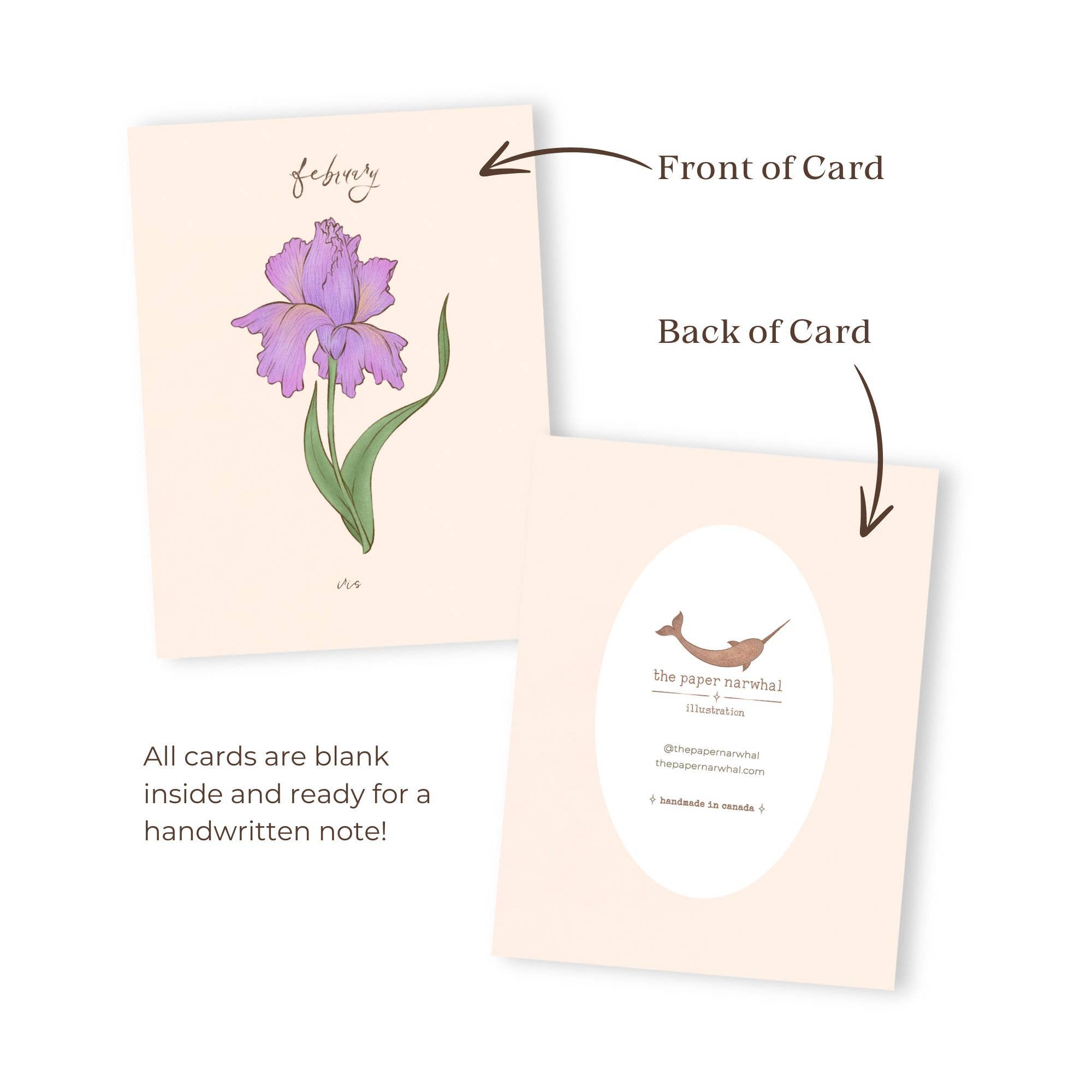 The Paper Narwhal - Wholesale Verjaardagskaartje - Geboortemaand februari Bloem (Iris) wenskaart1