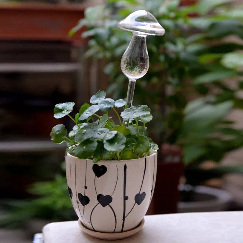 Kiyo Home - Wholesale Plant Pot - Glass Self-Watering Plant Decor | Micro-Drip System Ornament8