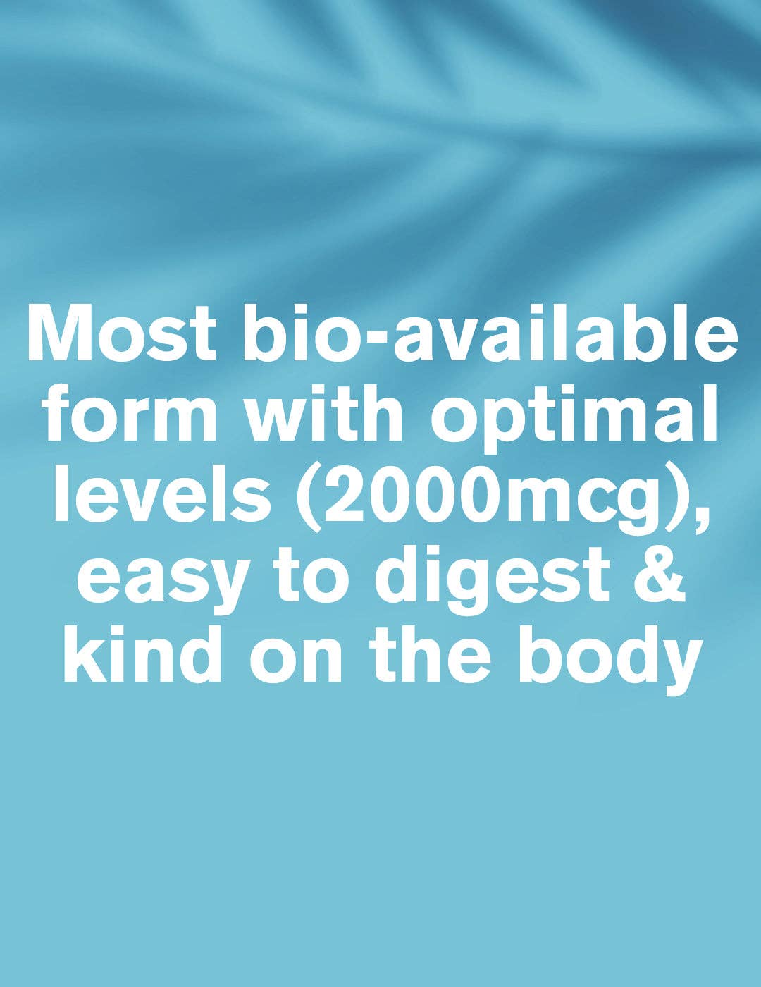 DR.VEGAN – wholesale Oral supplement/vitamin – Vitamin B12 | 30 Capsules | Highly Absorbable | Vegan2