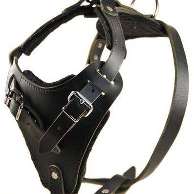 The Boss, hondentuig van volnerfleer met handvat, nikkel voor wholesale door Dean & Tyler