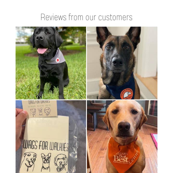 Anita's Accesorios - Wholesale Pet bandana – Dog - Custom business logo dog bandana over the collar,personalize3