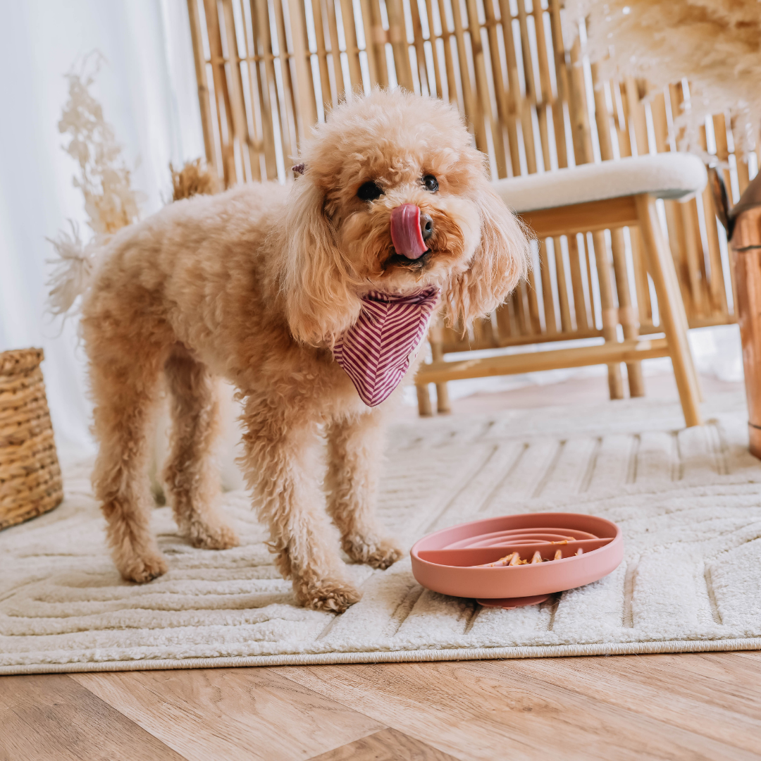 Babelle For Dogs - Wholesale Pet Food Mat - Dog - The Dreamy Lickmat - Old Rose 1