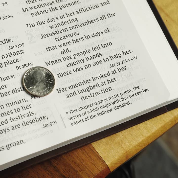 HarperCollins Christian Publishing - Wholesale Reference - NIV Super Giant Print Reference Bible Leathersoft Brown5