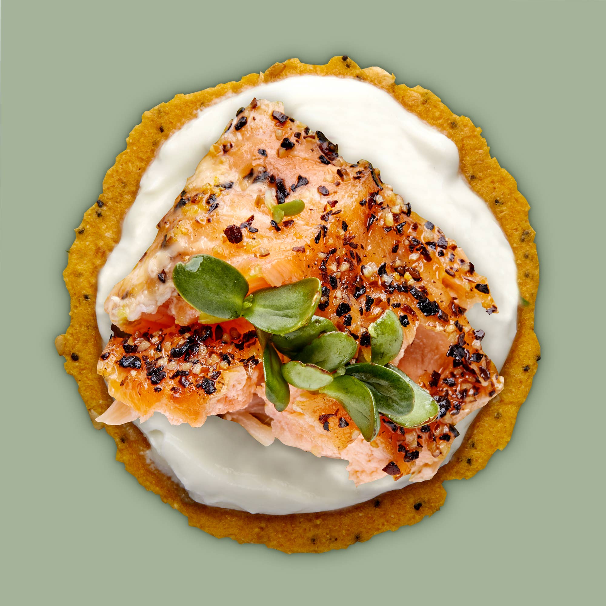 Craize Snacks, INC - Wholesale Crackers - Everything Toasted Corn Crackers 4oz5