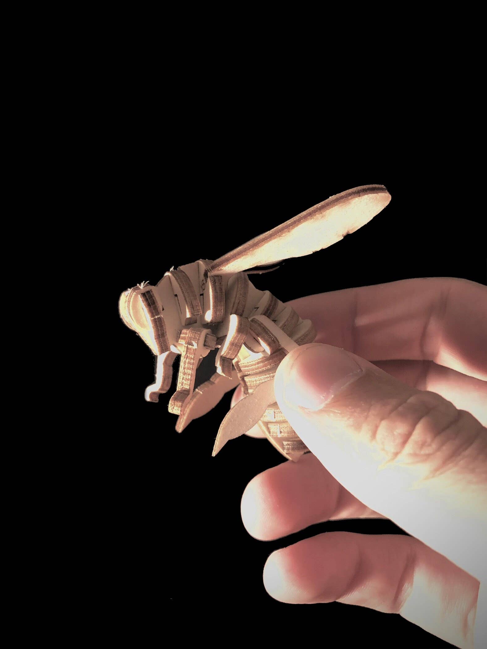 Polygon Jungle - Wholesale DIY Craft Kit - Bee Bud - Timber Pot Accessory Craft Kit4