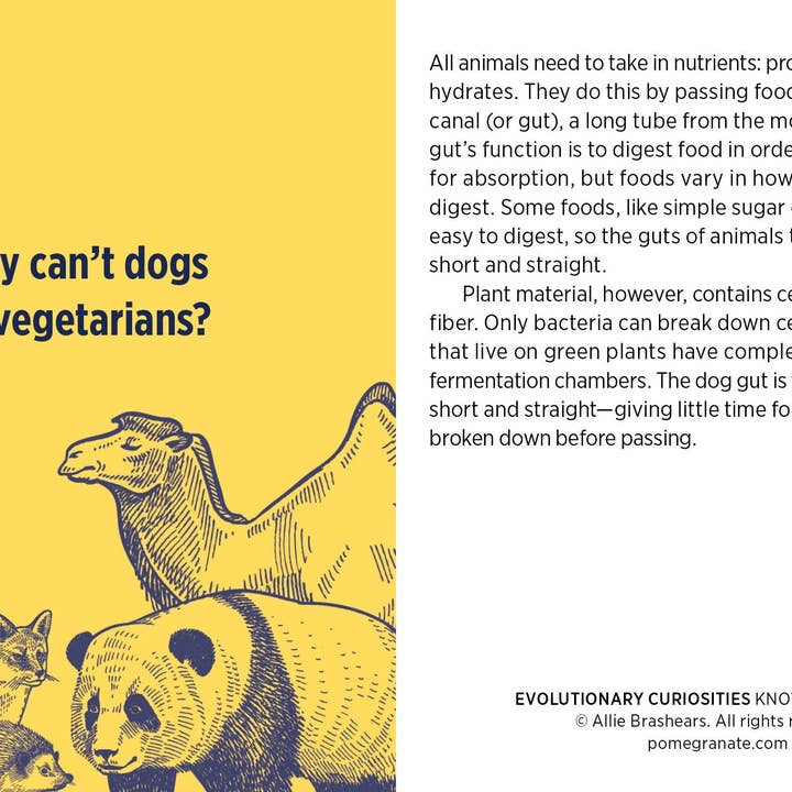 Pomegranate – wholesale Card game – Evolutionary Curiosities Knowledge Cards2