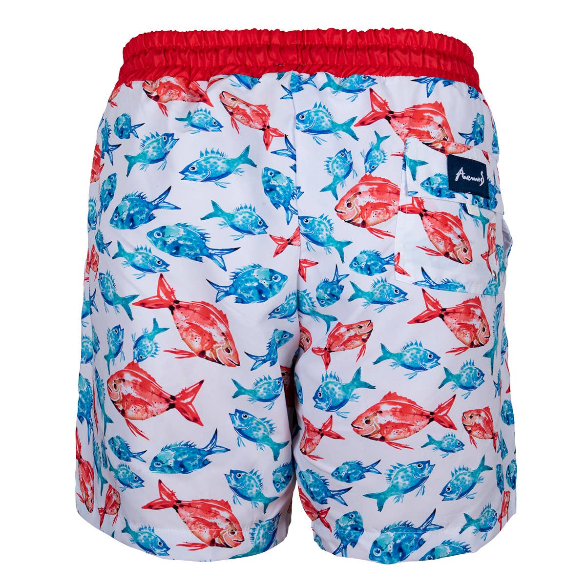 Biggbrands GmbH - Wholesale Beach Accessories - Anemoss Aquarium Men Swim Trunk2