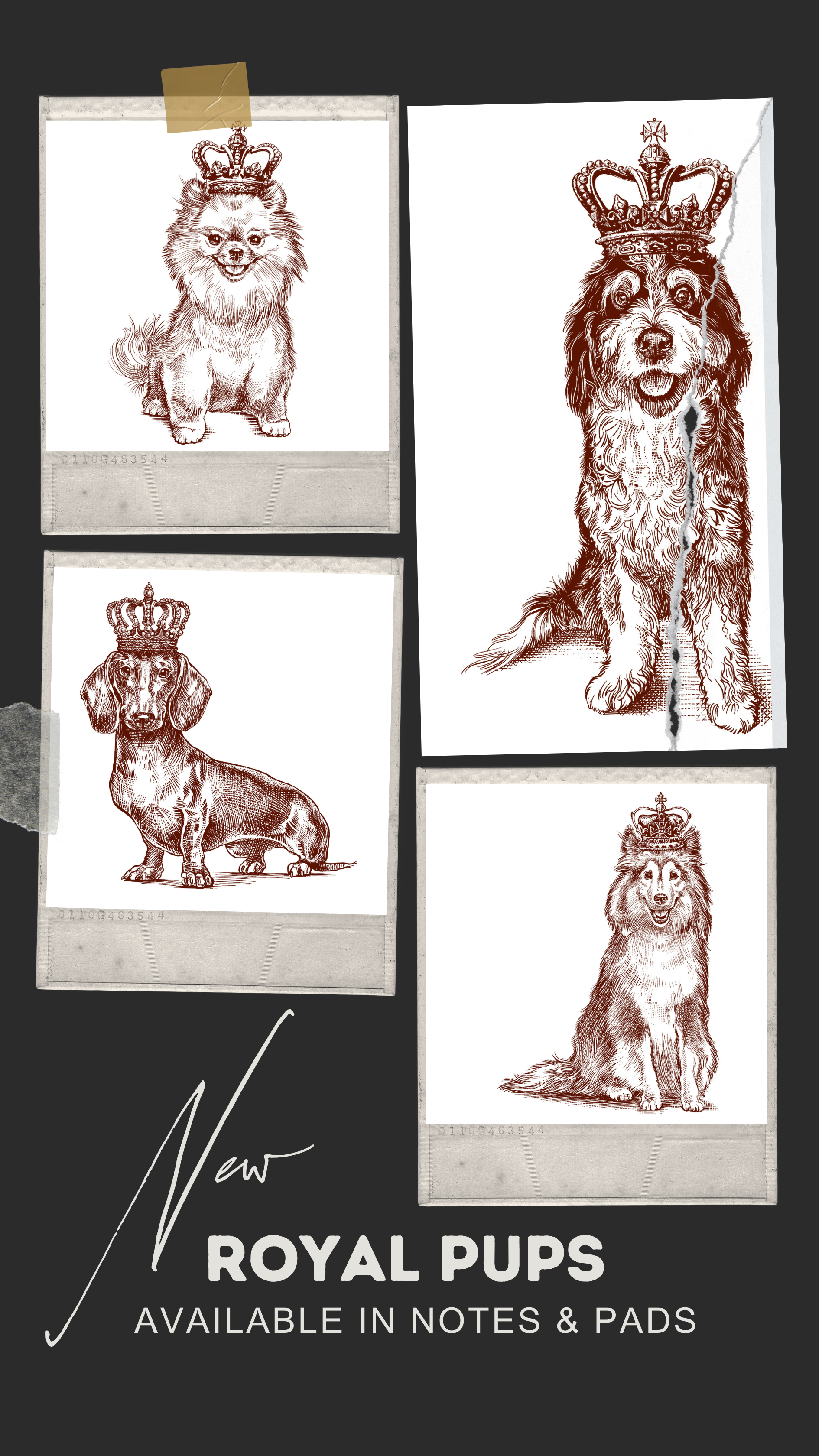 Alexa Pulitzer - Wholesale Stationery/Notecard Set - Royal Dachshund Long Pad1