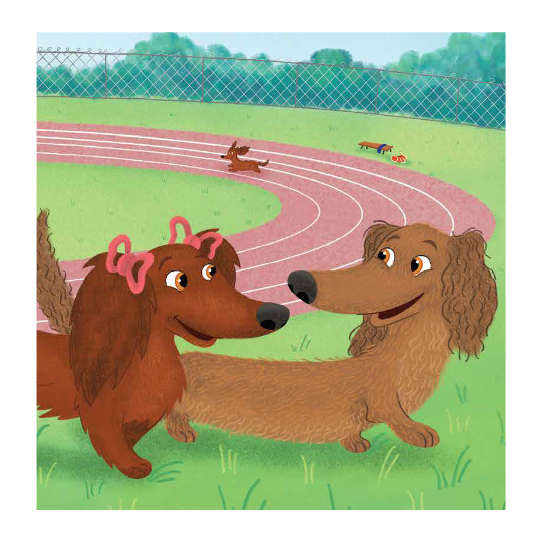 End Game Press - Vendita all'ingrosso Libro per l'infanzia (3-5) - Il Dachshund Dash - Libro per bambini con copertina rigida e sovraccoperta3
