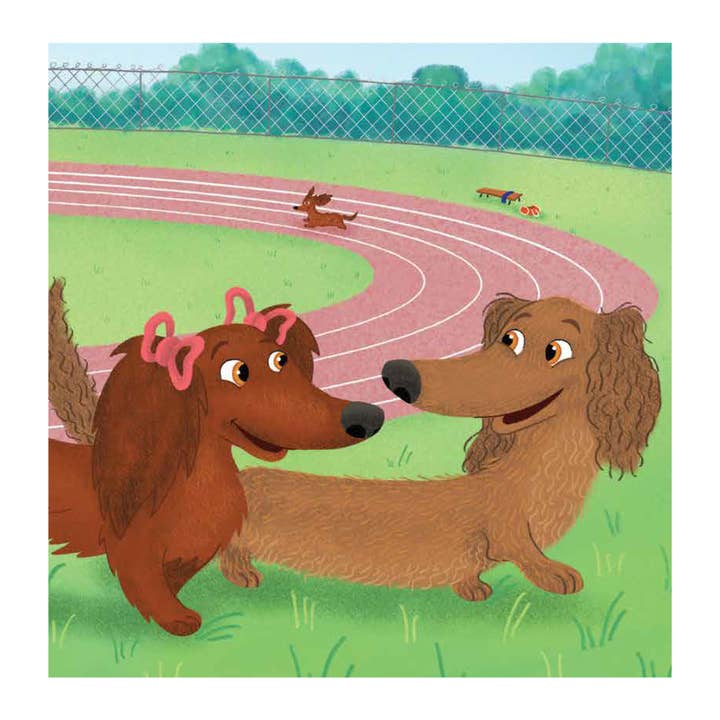 End Game Press - Vendita all'ingrosso Libro per l'infanzia (3-5) - Il Dachshund Dash - Libro per bambini con copertina rigida e sovraccoperta3