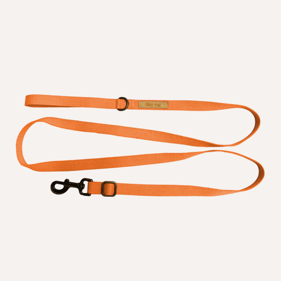 Tilley + Me - Wholesale Pet Leash - Dog - Hemp Cotton Dog Leash - Adjustable & Lightweight9