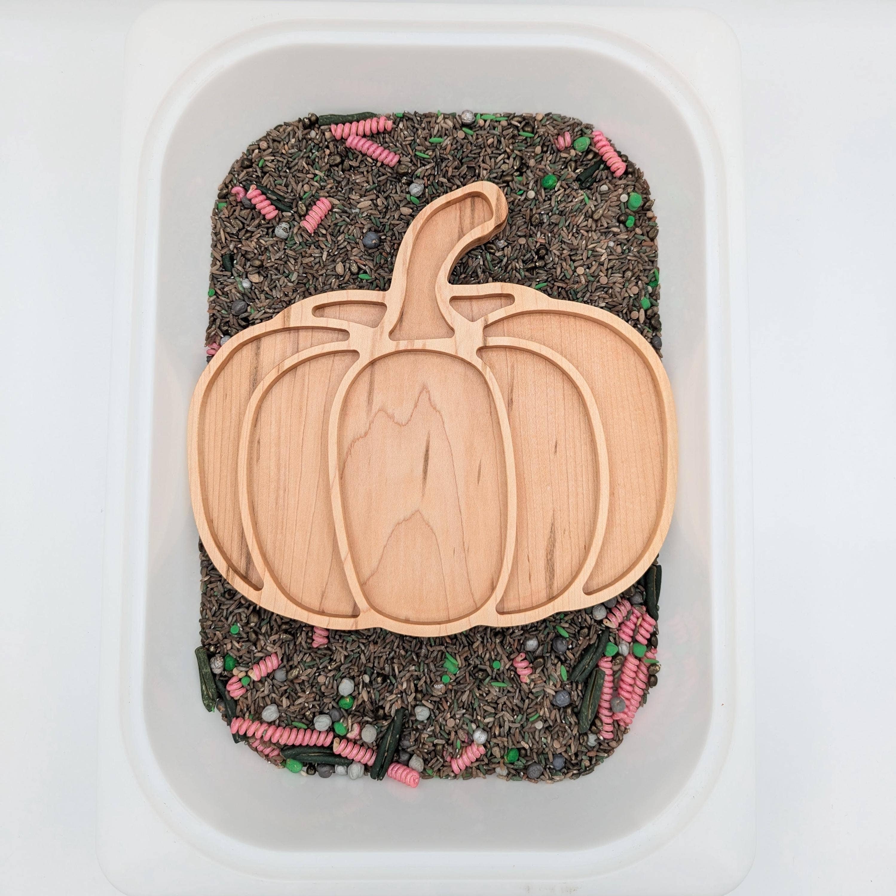 Carved Together Co - Wholesale Wood Toy - Kids - Pumpkin Sensory Play Tray - Large8