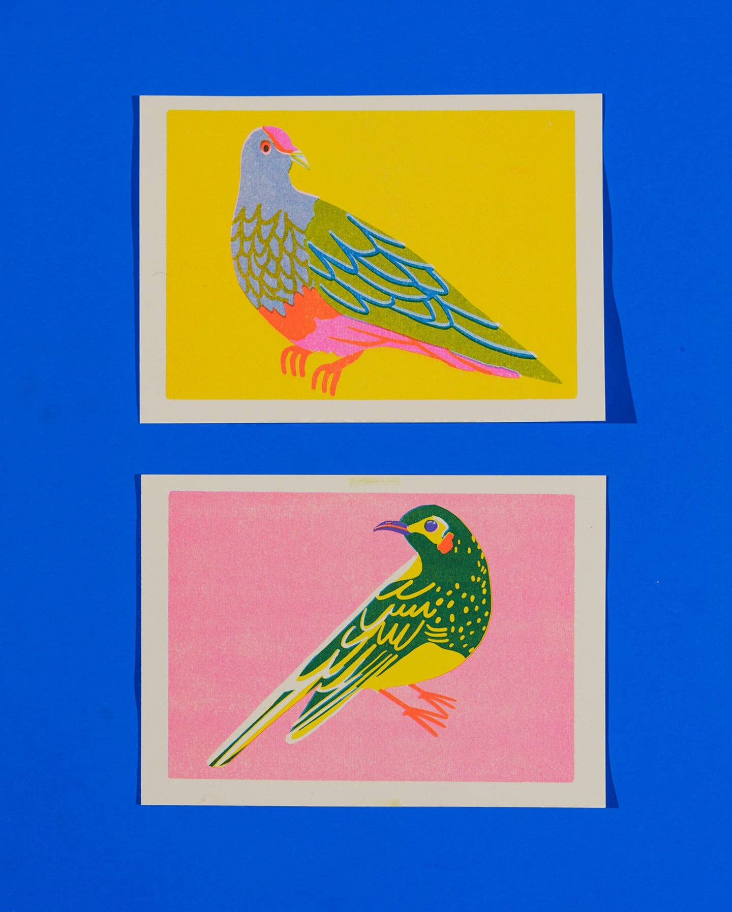 naomi wilkinson illustration – wholesale Art print – Fruit Dove print2