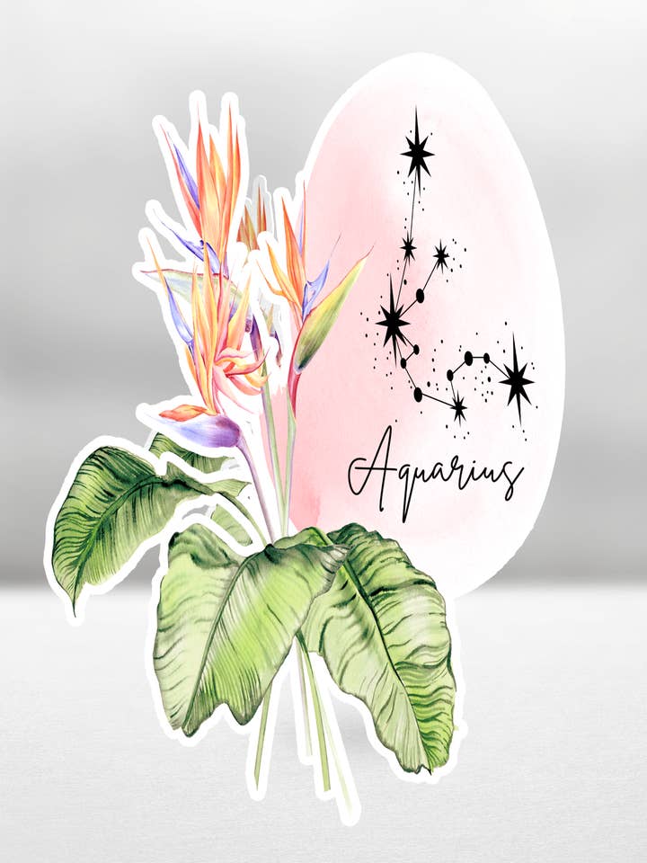 Autocollant découpé astrologique du zodiaque floral Verseau pour la vente par Soraya Moon Co.