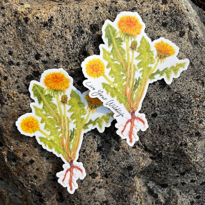 Dandelion: Vinyl Stickers for wholesale by Dark Fox Creative