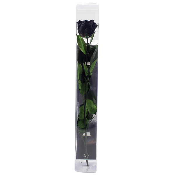 Concari.flores Preservadas - Wholesale Artificial Flowers - ROSE WITH PRESERVED STEM10