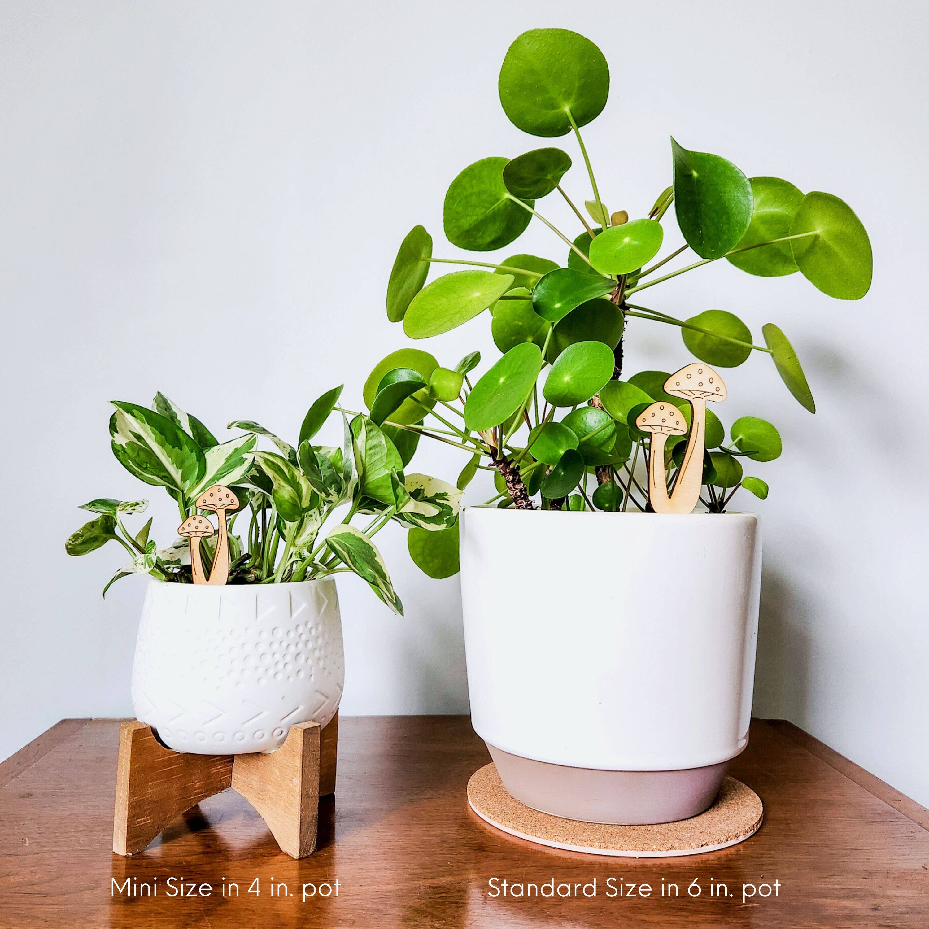 Leaf & Node - Wholesale Garden/Lawn Stake - Mushroom Decorative Houseplant Stake (Wood, 2 Sizes)4