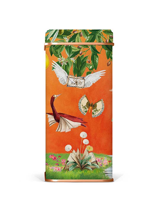 Lady Joseph – Cookie por atacado – Sortido de biscoitos em lata para presente4