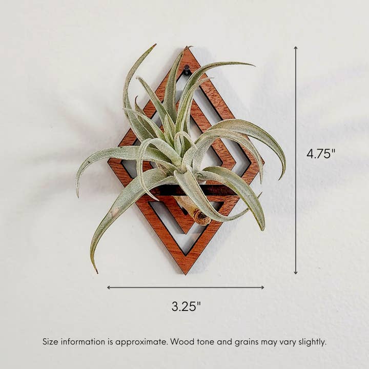 Leaf & Node - Wholesale Wall Planter - Air Plant Holder Display, Wall Hanging, Wood Diamond Design