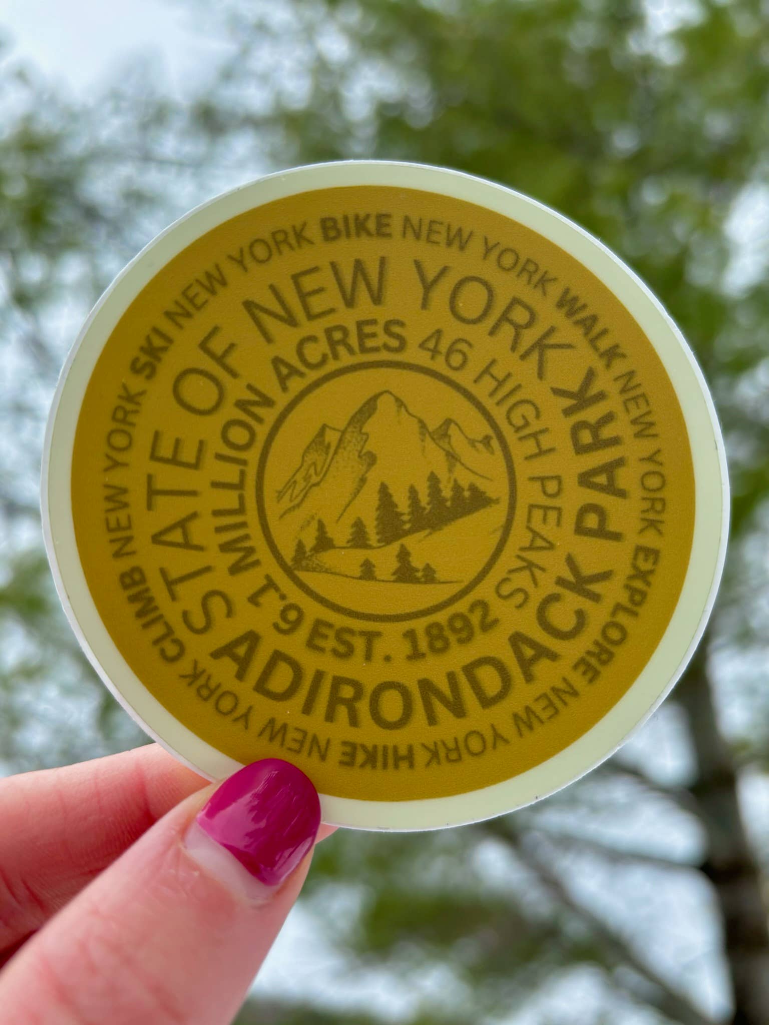 Just Wandering Co. - Wholesale Sticker - ADK Mountain Marker Sticker, Hiking Gift, 46, Water Bottle1