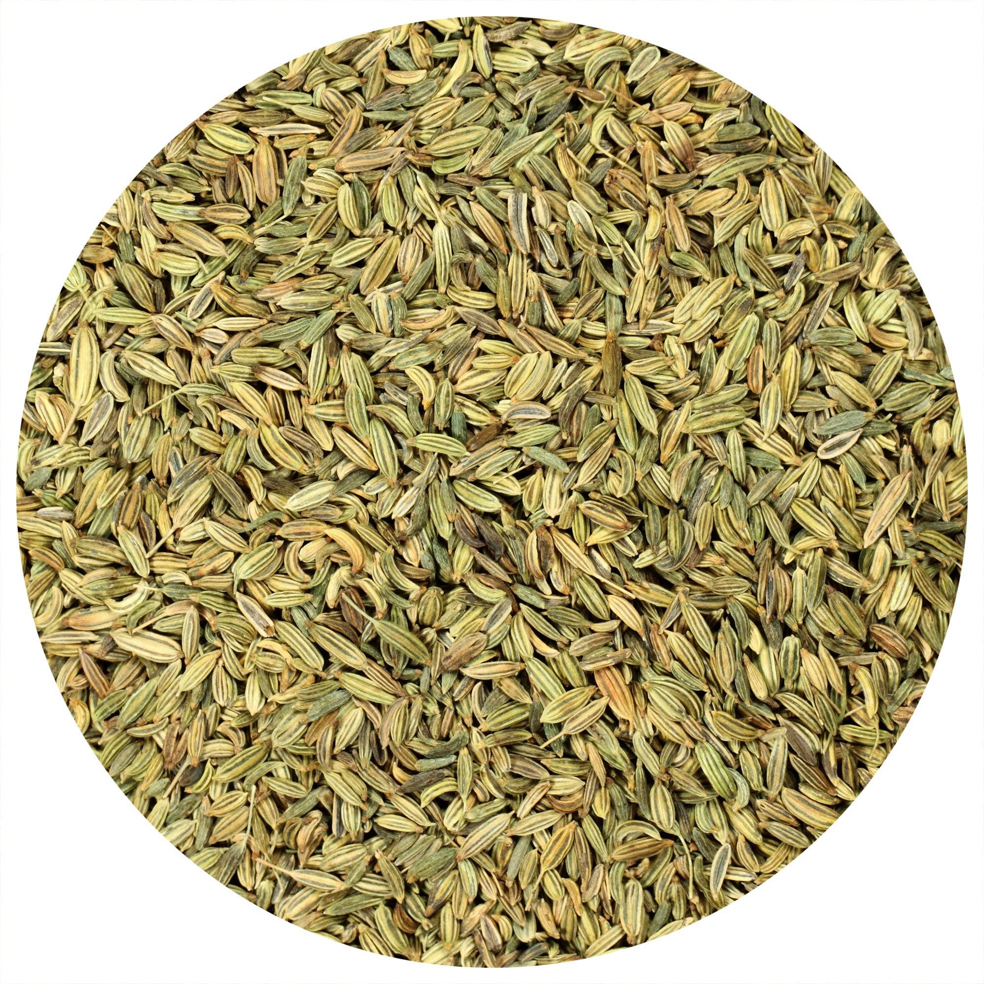THE SPICE LAB - Wholesale Herbs - Organic Fennel Seeds - Case/ 6 - 1.2 oz French Jars1