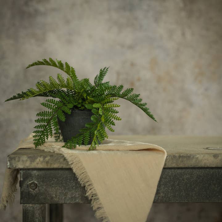 Ragon House - Wholesale Artificial Plant - 9" HAY-SCENTED FERN IN CHARCOAL CERAMIC POT