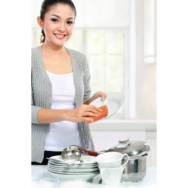 HIC - Harold Import Co. - Wholesale Kitchen Tool/Gadget - Peachy Clean Dish Scrubber1