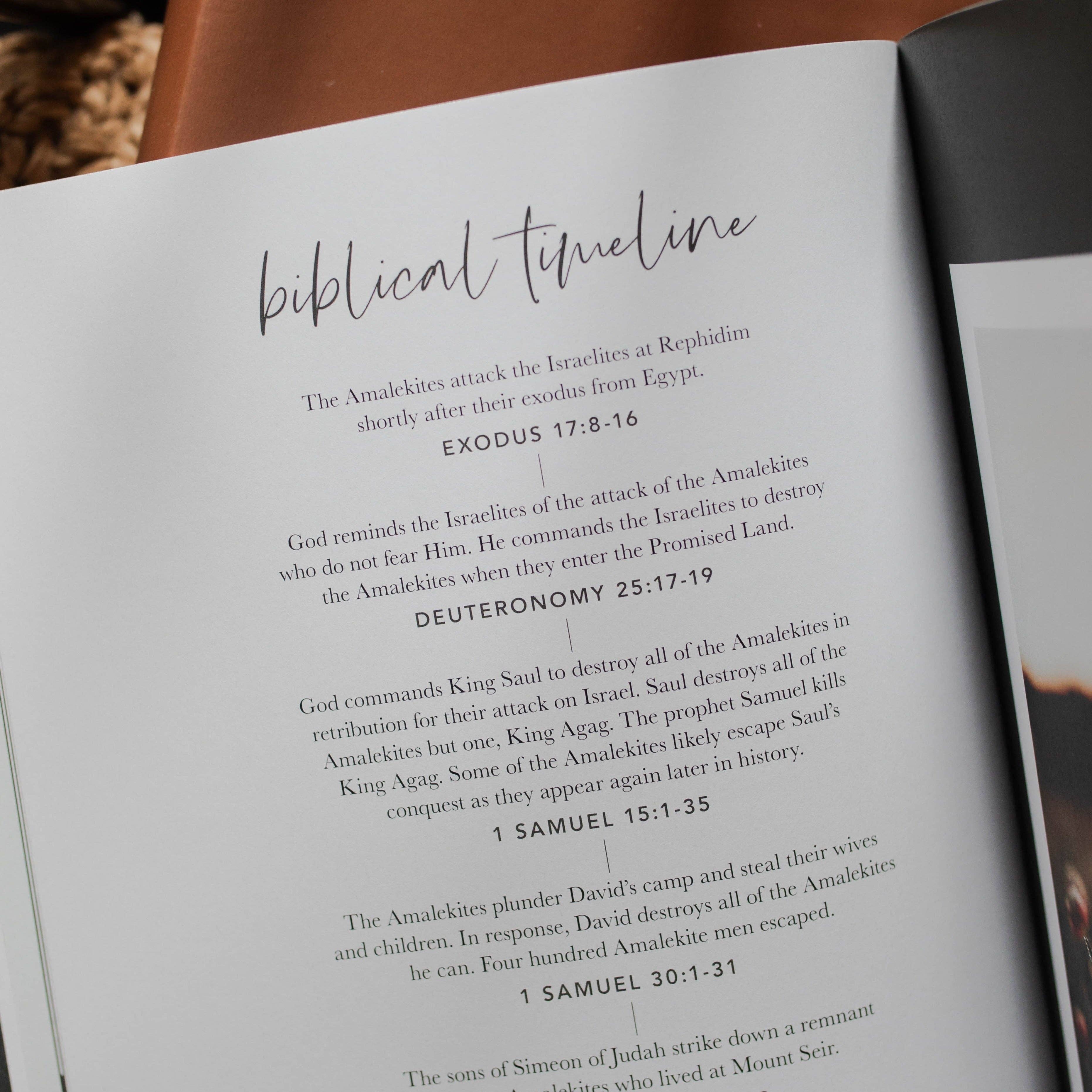 The Daily Grace Co - Wholesale Religion - Esther | Seeing God When He Is Silent3