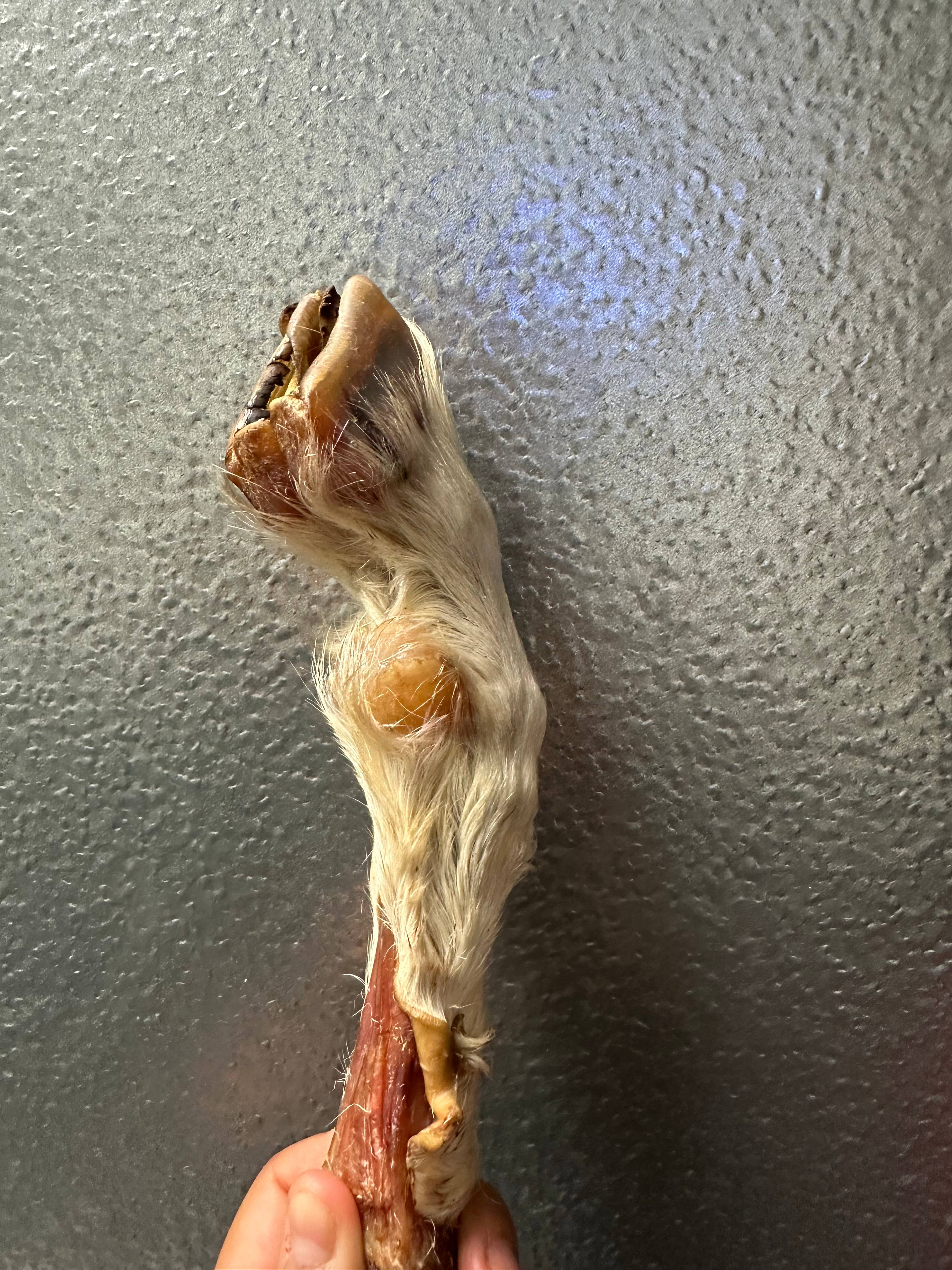 Tapia raw meats for pet food – Engroshandel Godbid - Hund – Gedekløver med pels2